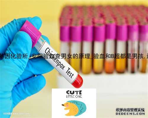 香港的三大基因化验所_安阳验血查男女的原理_验血和B超都是男孩,还会翻盘吗