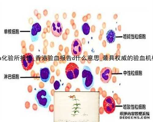 香港libra化验所报告_香港验血报告d什么意思_最具权威的验血机构是哪家!