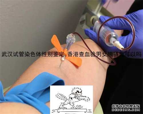 武汉试管染色体性别鉴定,香港查血验男女熊猫血可以吗