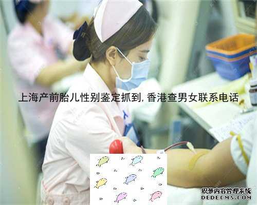 上海产前胎儿性别鉴定抓到,香港查男女联系电话