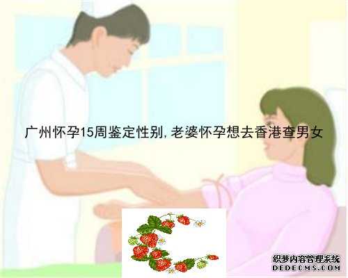广州怀孕15周鉴定性别,老婆怀孕想去香港查男女