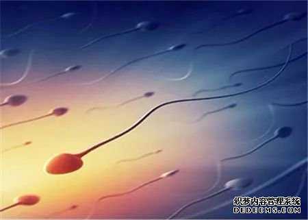 备孕前做哪些检查项目输卵管堵塞不孕是怎么回事