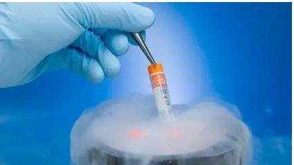 试管婴儿鲜胚、囊胚、冻胚都是什么？